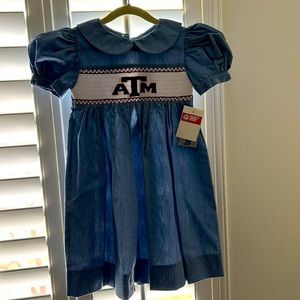 NWT Aggie dress